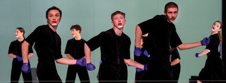Canine Jaunâtre 3