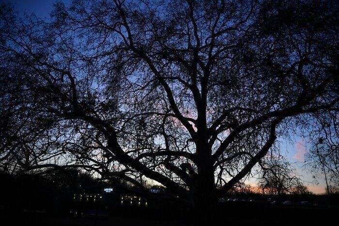 Chouette nuit