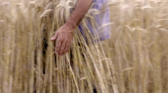 Citéphilo - Cinéma : Les films et le parcours de Jean-Jacques Rault