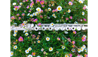 Concert classique en plein air