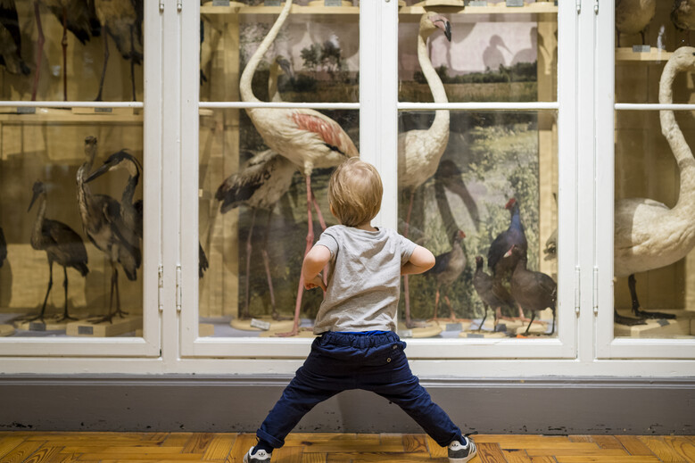 Création de poésie à hauteur des tout-petits / Atelier participatif autour des tapis sensoriels