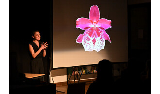 De la sexualité des orchidées – Conférence spectacle de Sofia Teillet / L'amicale