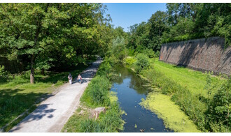 Découverte de la faune aquatique