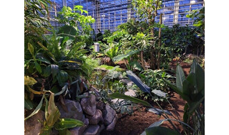 Découverte des serres de collection et des coulisses du Jardin des Plantes