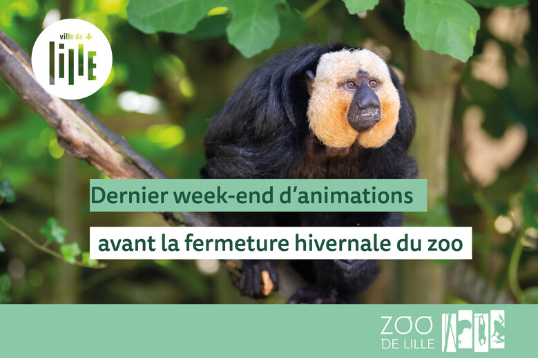 Dernier week-end d’animations avant la fermeture hivernale !