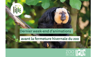 Dernier week-end d’animations avant la fermeture hivernale !