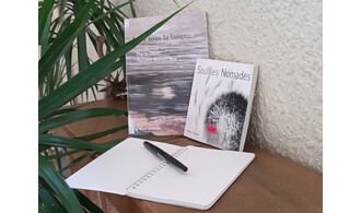 Des films, des livres et des bandes-dessinées pour changer le monde