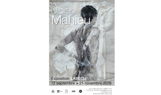 Didier Mahieu - under soul ou over soul
