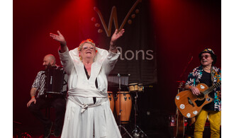 Documentaire : Le Bal Du Cheval Blanc – Flonflons - Wazemmes l'Accordéon