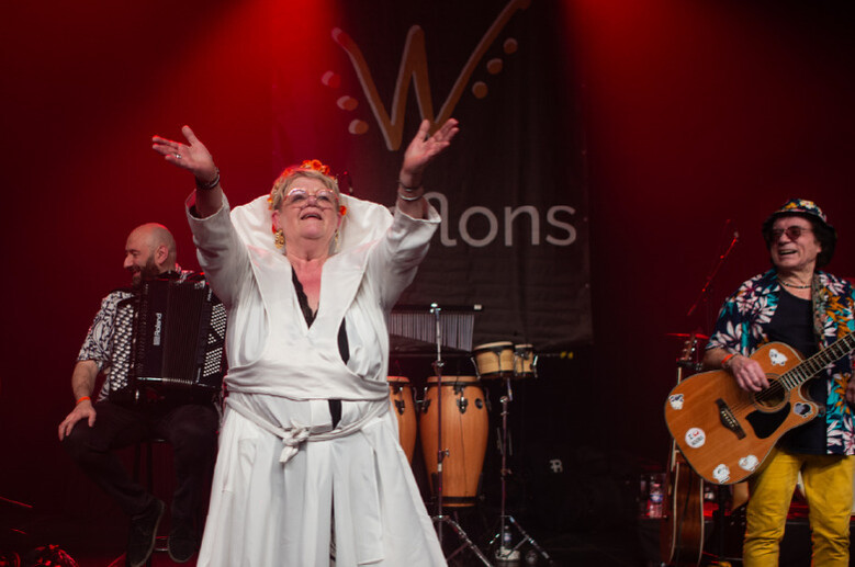 Documentaire : Le Bal Du Cheval Blanc – Flonflons - Wazemmes l'Accordéon