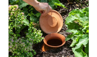 Economisez l'eau au jardin