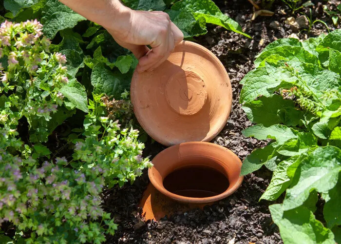 Economisez l'eau au jardin