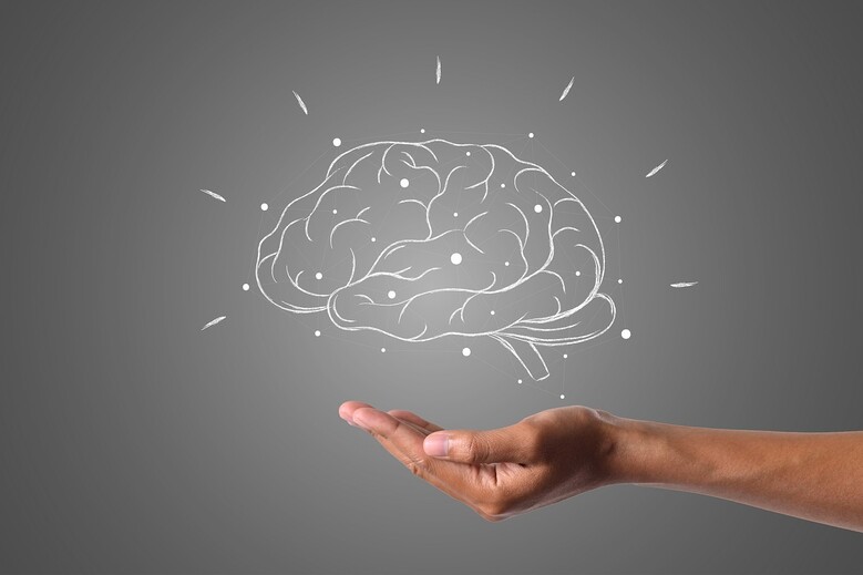 Et si on prenait un moment pour mieux comprendre comment fonctionne notre cerveau ?