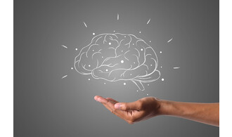 Et si on prenait un moment pour mieux comprendre comment fonctionne notre cerveau ?