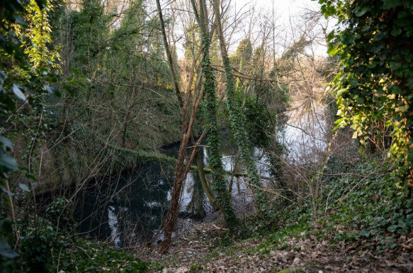 Euralille à la Deûle : nature en mouvement