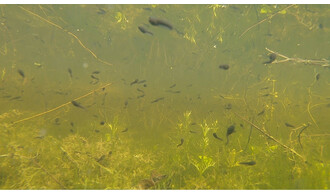 Exploration des douves de la citadelle de Lille !