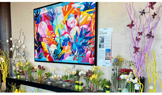 Exposition Amaury Dubois