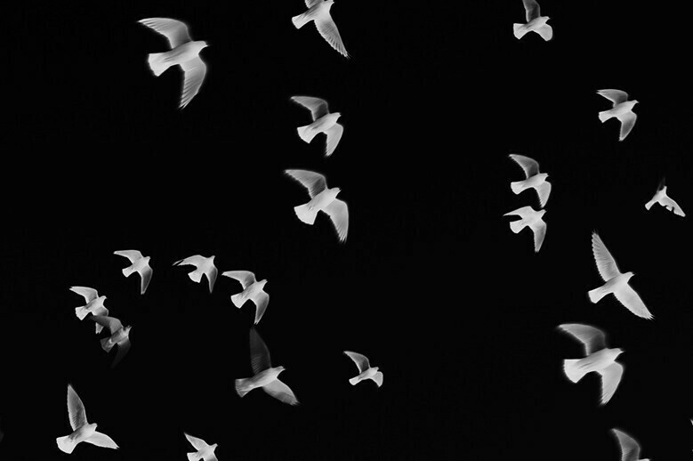 Exposition photos : Staccato