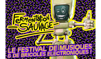 Fermentation sauvage #2 - Violette Indigo / Pö / Retro Cassetta / Lynx IRL