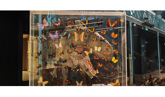 Fives / Atelier - Crée ton portrait de dino !