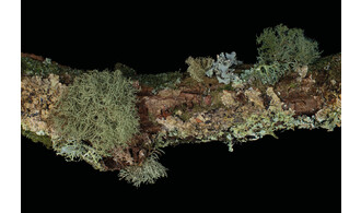 Fragments choisis - Bertrand Gadenne