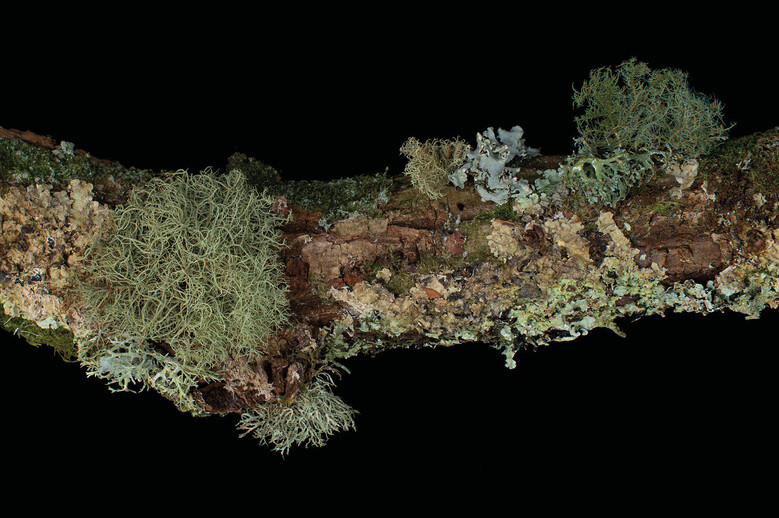 Fragments choisis - Bertrand Gadenne