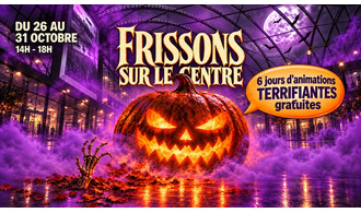 Frissons sur le centre à Lillenium