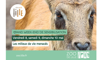 Grand week-end de sensibilisation : les milieux de vie menacés