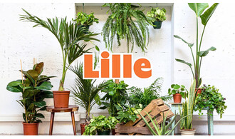 Grande vente de plantes