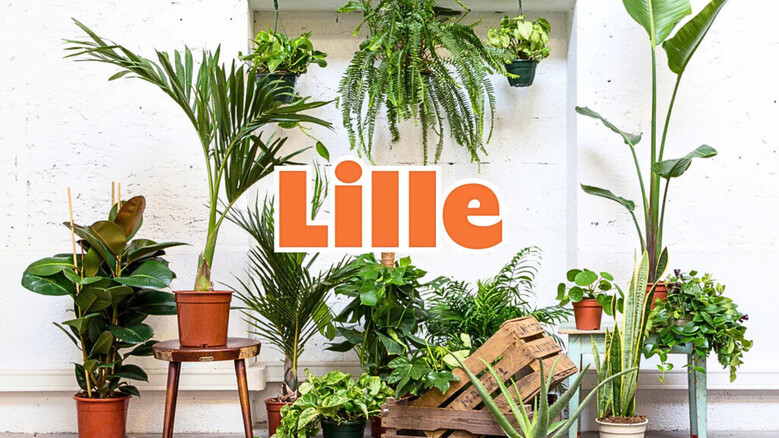 Grande vente de plantes