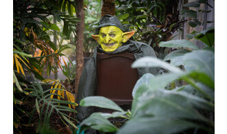 Halloween au Jardin des Plantes