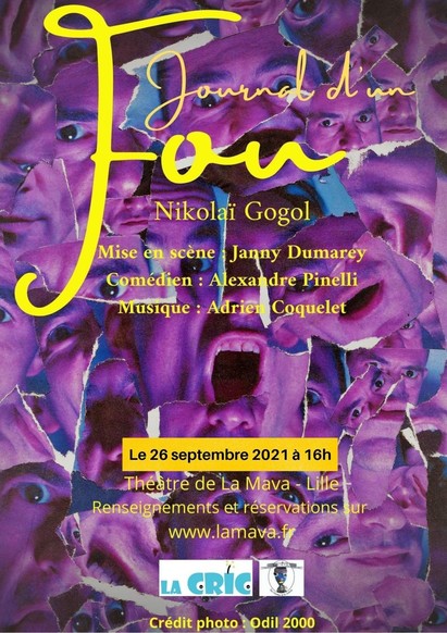 Journal d'un fou