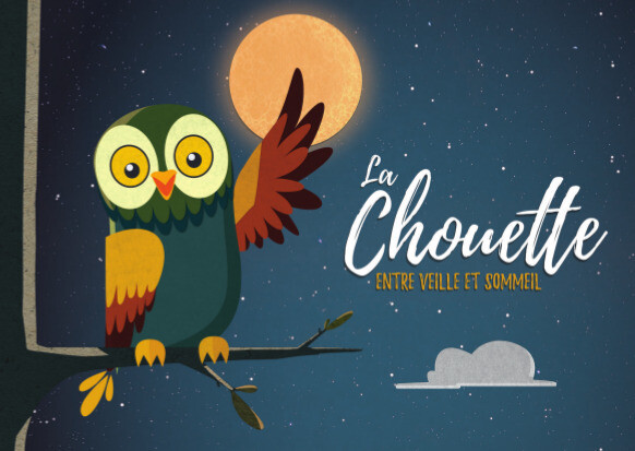 La chouette, entre veille et sommeil