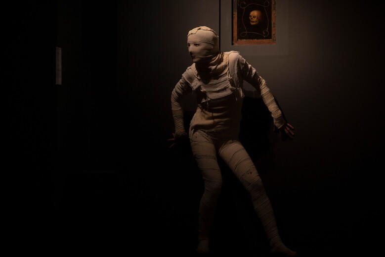 La nuit des ombres