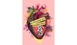 La princesse qui n’aimait pas… • M Festival et Festival Pas Cap ?