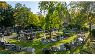 Le cimetière de l'Est : voyager parmi les arbres
