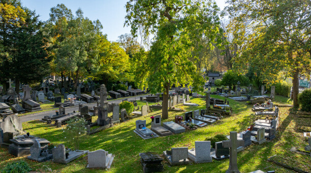 Le cimetière de l'Est : voyager parmi les arbres