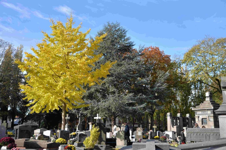 Le cimetière du Sid : ce que les pierres murmurent