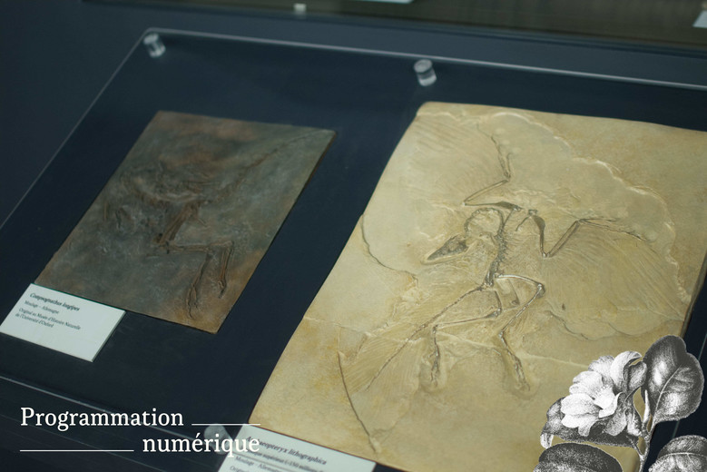 La géologie !
