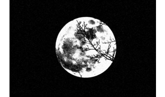 Les échos du silence