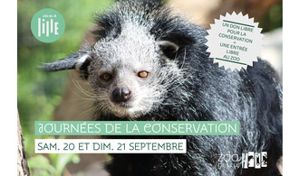 Les journées de la conservation