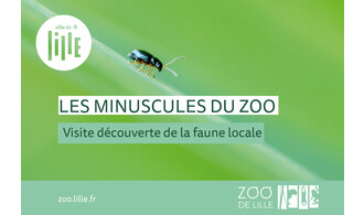 Les minuscules du zoo