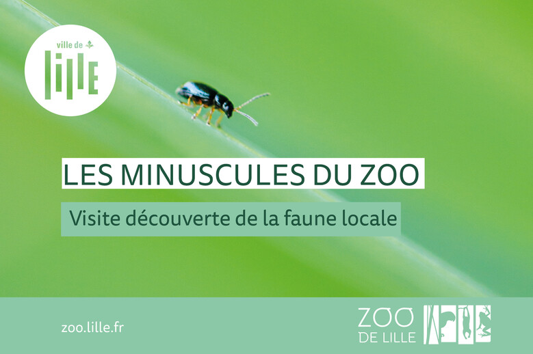 Les minuscules du zoo
