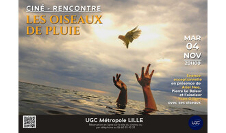 "Les Oiseaux de Pluie"