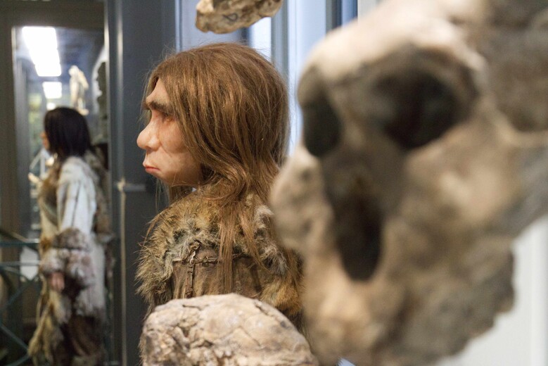 Les petits labos du Musée - Enquête Néandertal  / Fabrique du Sud