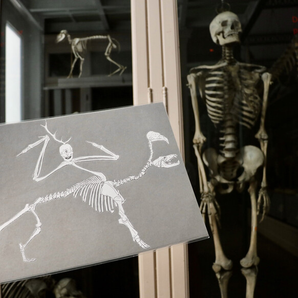 Les petits labos du Musée - Invente un monstre / Faubourg de Béthune