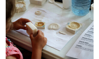 Les petits labos du Musée "Les fossiles" / à la Pouponnière