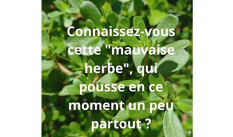 Miam miam et anti-bobo