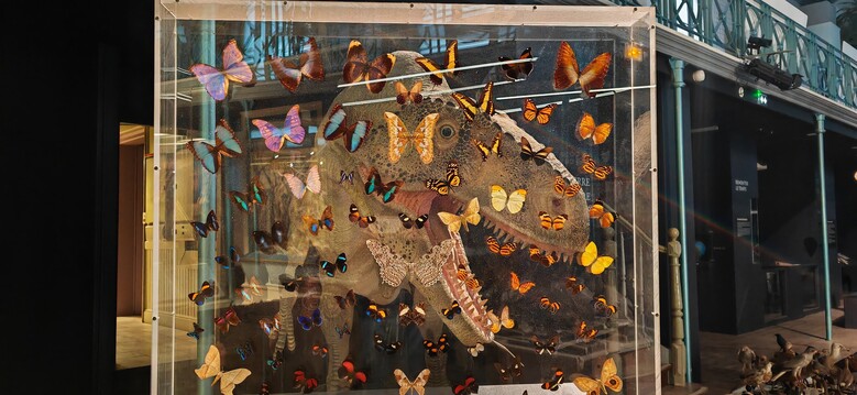 Moulins / Atelier "Crée ton portrait de dino !"