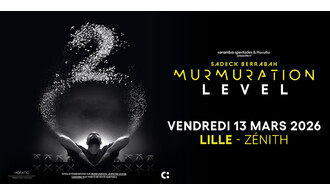 Murmuration Level 2